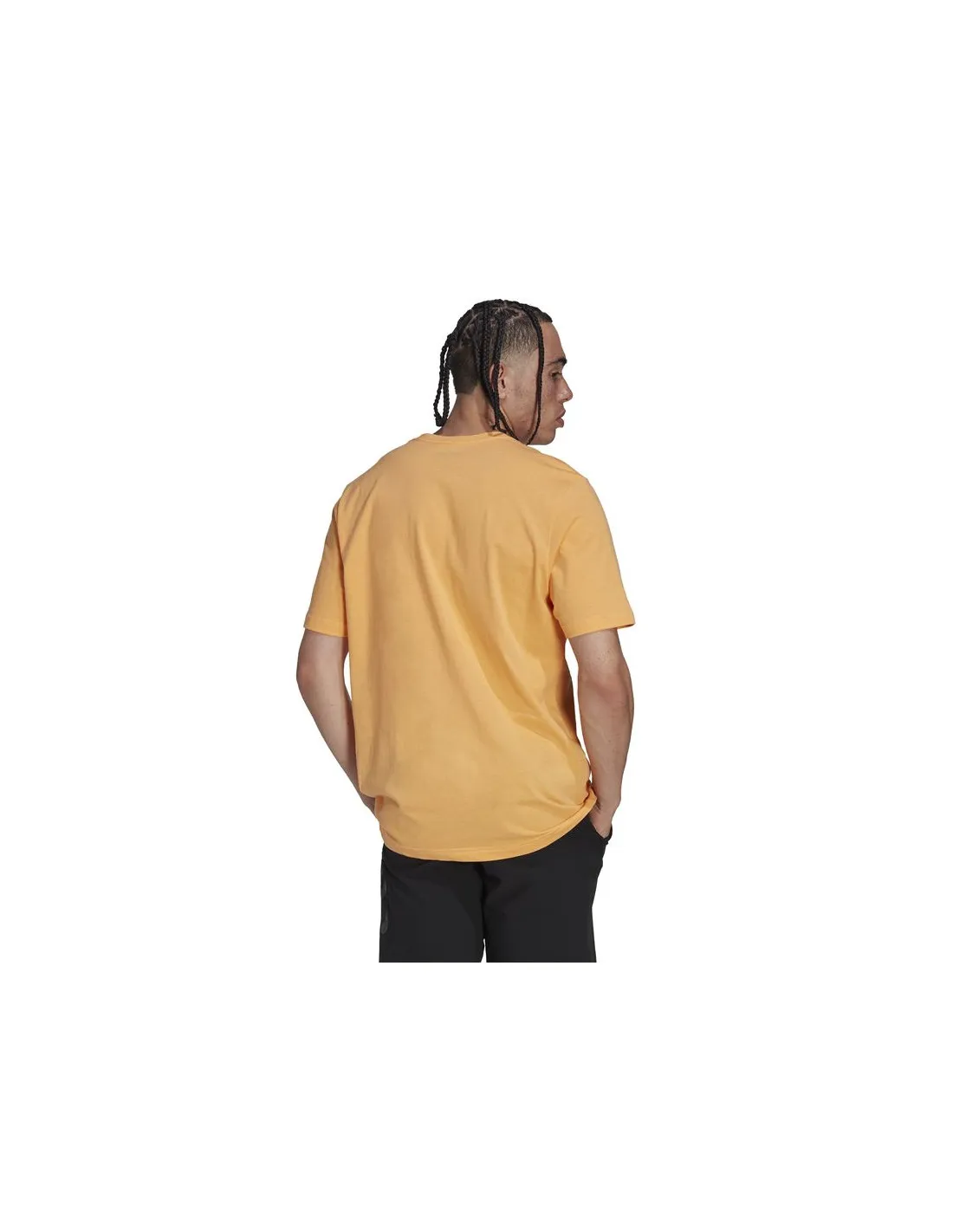 Camiseta de Montaña adidas 5.10 Botb Hombre