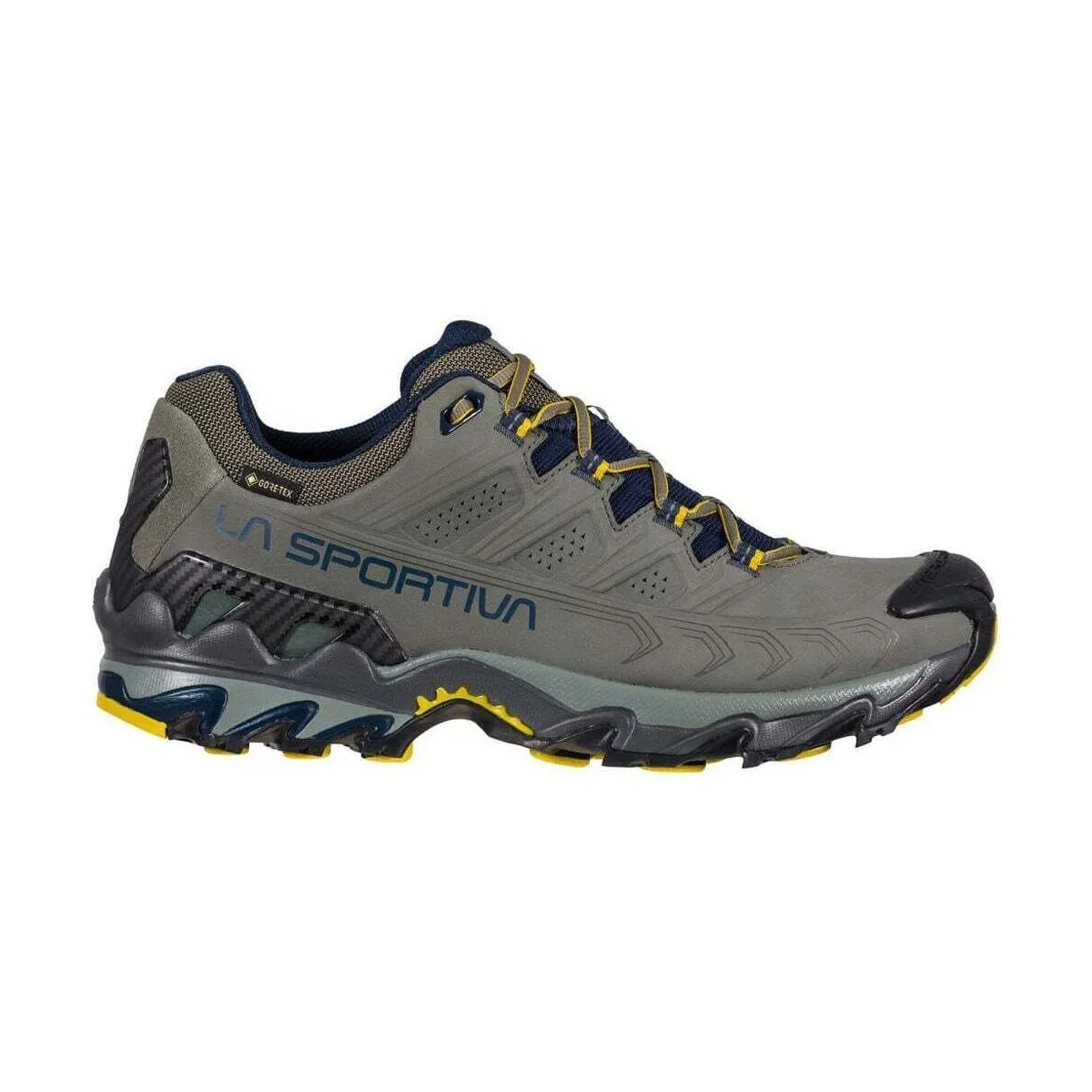 Ultra Raptor II Leather GTX