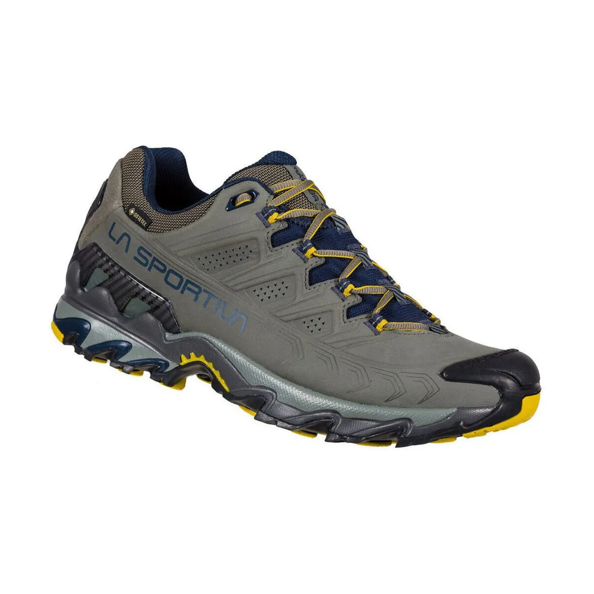 Ultra Raptor II Leather GTX