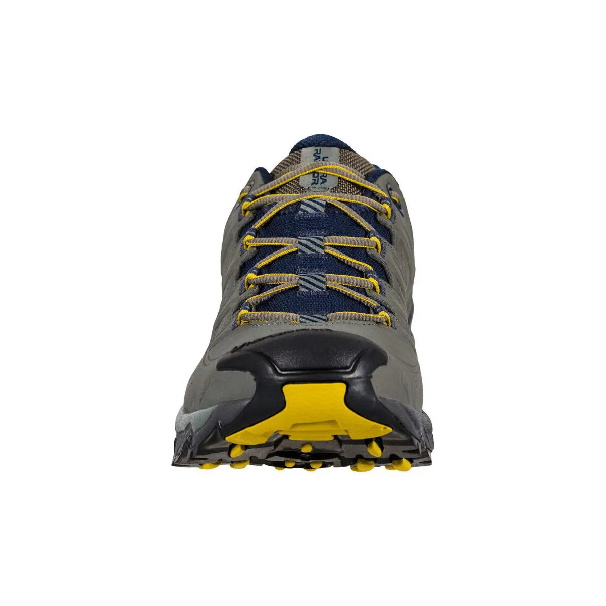 Ultra Raptor II Leather GTX