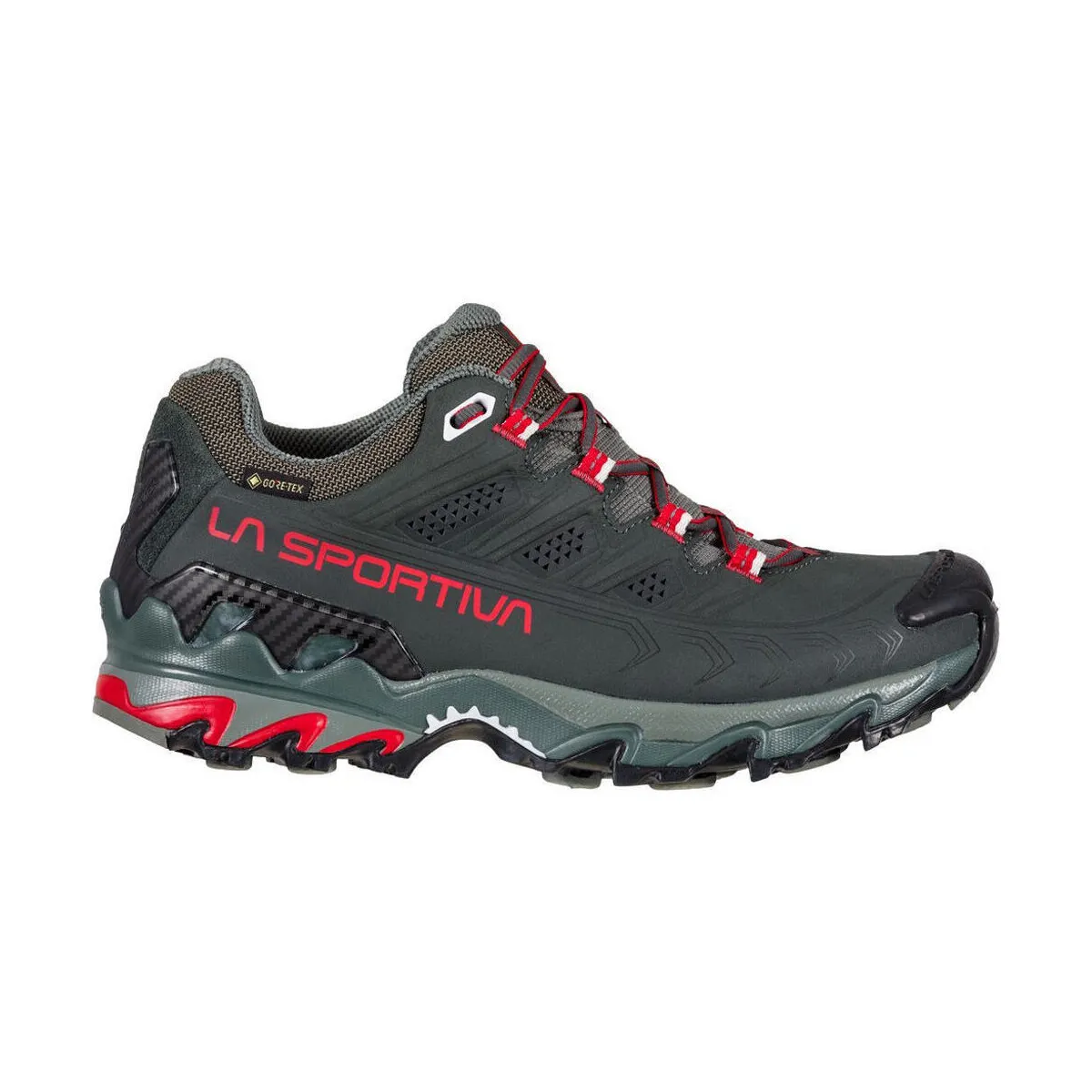 Ultra Raptor II Leather Woman GTX