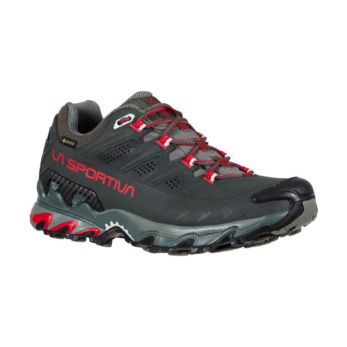 Ultra Raptor II Leather Woman GTX