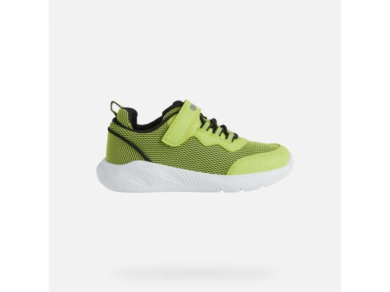 ZAPATILLA DEPORTIVA PARA NIÑO SPRINTYE J25GBE GEOX EN COLOR LIMA