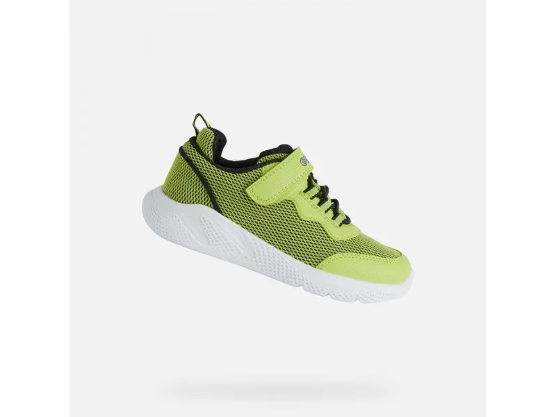 ZAPATILLA DEPORTIVA PARA NIÑO SPRINTYE J25GBE GEOX EN COLOR LIMA