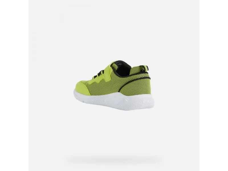 ZAPATILLA DEPORTIVA PARA NIÑO SPRINTYE J25GBE GEOX EN COLOR LIMA