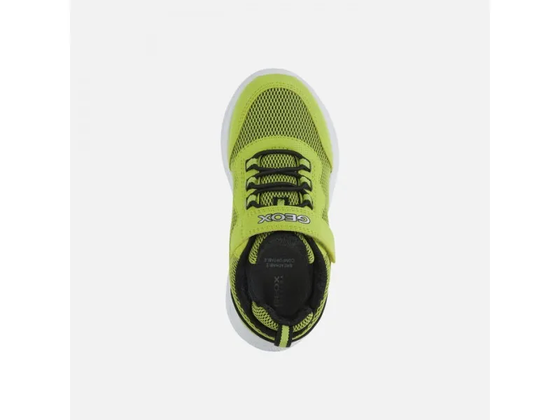 ZAPATILLA DEPORTIVA PARA NIÑO SPRINTYE J25GBE GEOX EN COLOR LIMA